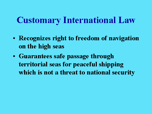 Customary International Law