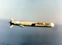 Royal Navy Tomahawk Land Attack Missile in flight towards the target.